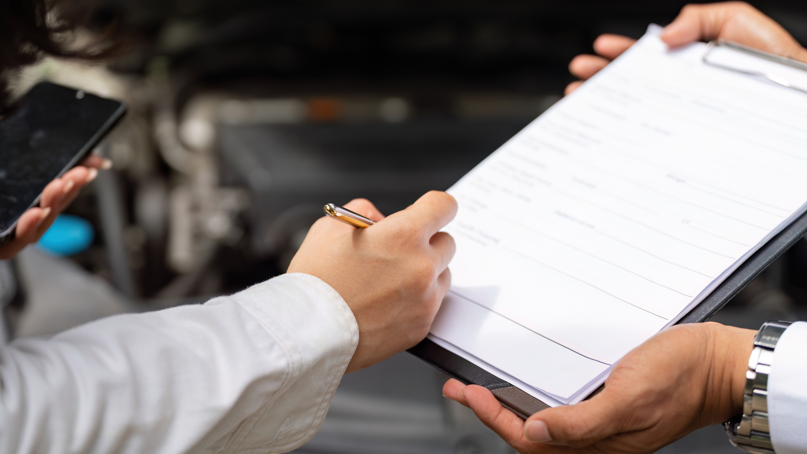 Assicurazioni e primavera